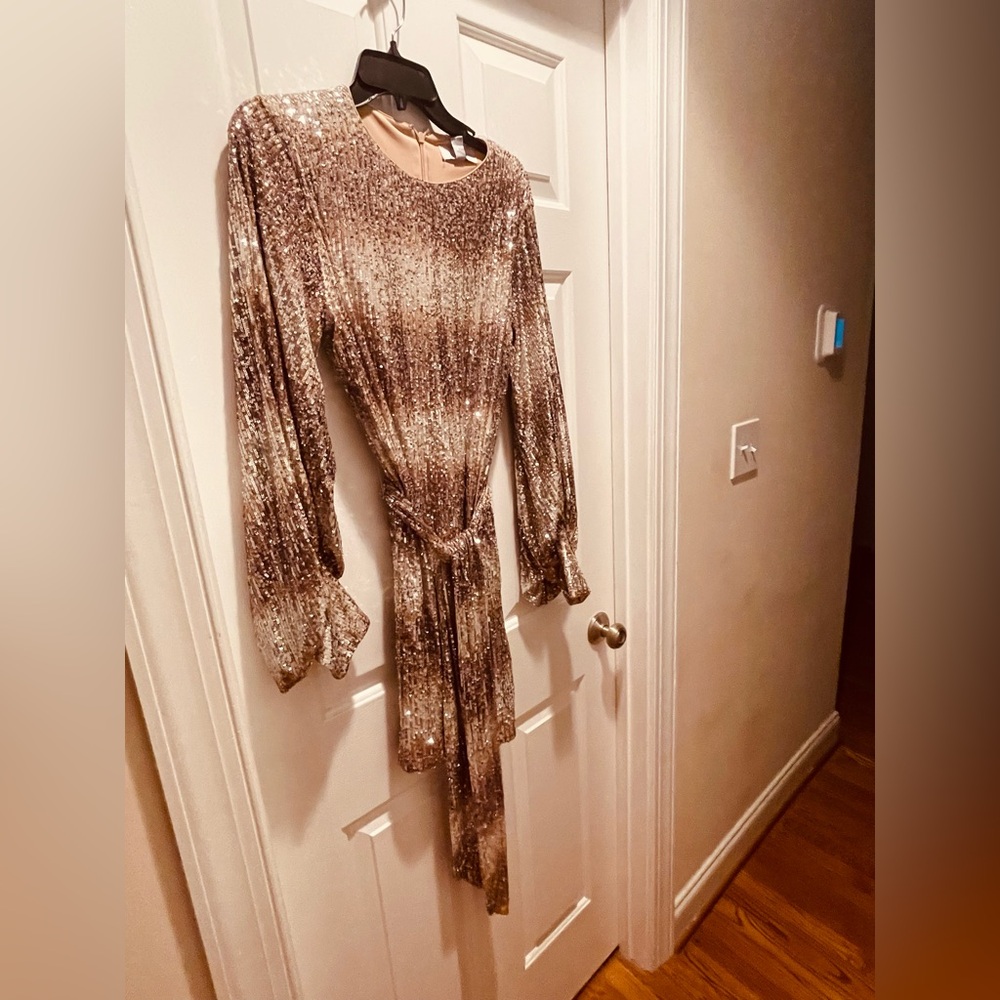 Belle by Badgley Mischka Jenna SequinOmbre Crew Neck Long Sleeve Tie Size 4